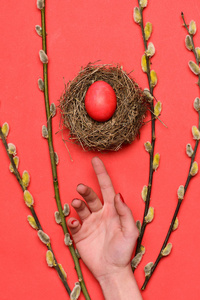 手用红色画彩蛋在鸟巢附近柳