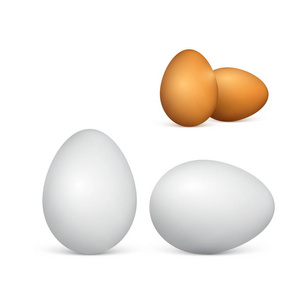 一对夫妇的白色和褐色的鸡蛋。逼真的3d 鸡蛋。在白色背景上隔离的矢量插图