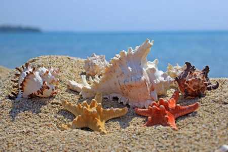 夏季海滩上