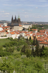 与哥特式城堡和绿色自然开花树木，捷克共和国布拉格春城