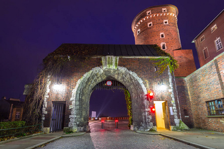 晚上在克拉科夫的皇家瓦维尔城堡的大门, 波兰