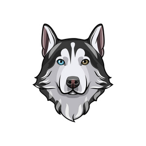 黑色和白色西伯利亚哈士奇犬用多种颜色的眼睛。手画的肖像的狗。矢量图