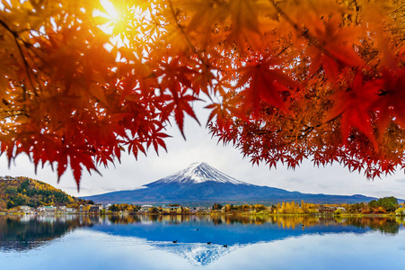 日本河口湖秋季和富士山