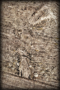 老风化破裂打结松树木地板上的插图垃圾纹理细节