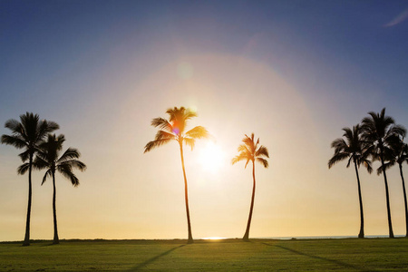 令人惊叹的夏威夷海滩自然风光景观