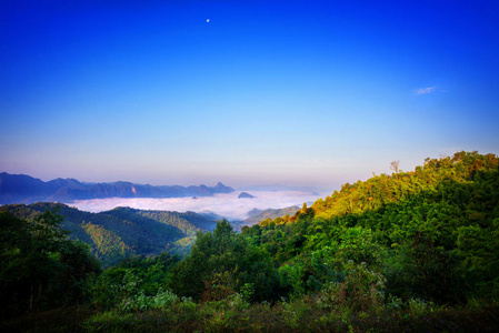 美丽的自然场景