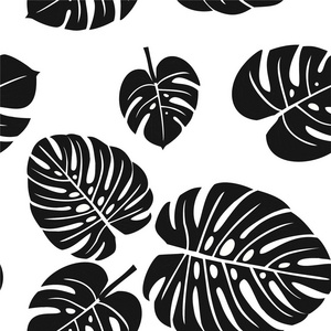 黑白相间的图案。热带树叶。矢量无缝纹理