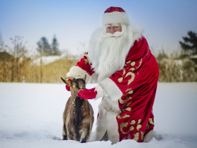 圣诞老人与一只山羊