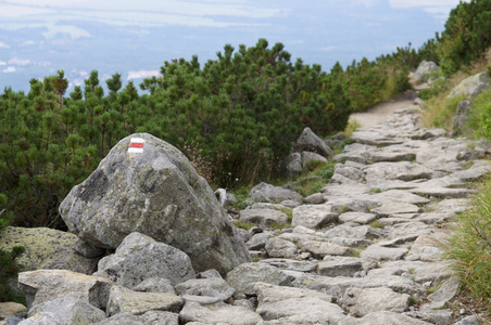 Rocky footpathleadingto the small bushes