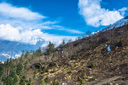 美丽的山风景与树没有叶子在喜马拉雅山, 尼泊尔