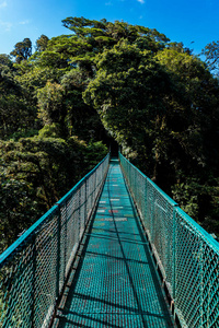 Cloudforest, 蒙特韦德, 哥斯达黎加的吊桥