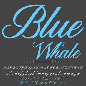 手绘制的字体设置命名的蓝鲸刷画中人物小写和大写你的设计的手写的手写体字体排版字母表
