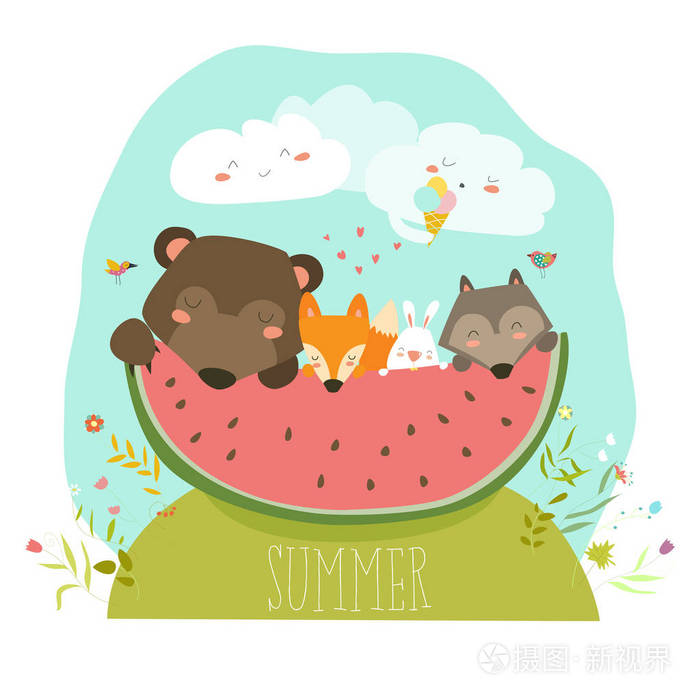 可爱的小动物吃西瓜切片.你好夏天