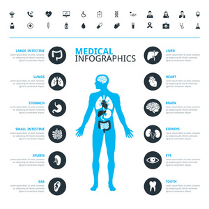 医学人体器官和医疗图标集与人体中蓝色照片