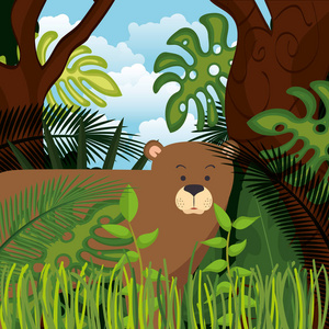 丛林中的野生熊灰熊