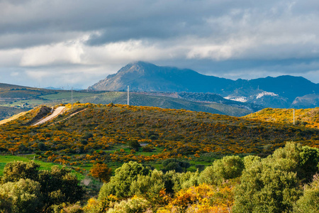 西班牙安大路西亚 Crestelina 的美丽风景