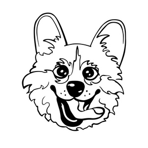 可爱矢量插画的威尔士科基犬彭布罗克狗。一只小狗的装饰和设计的肖像