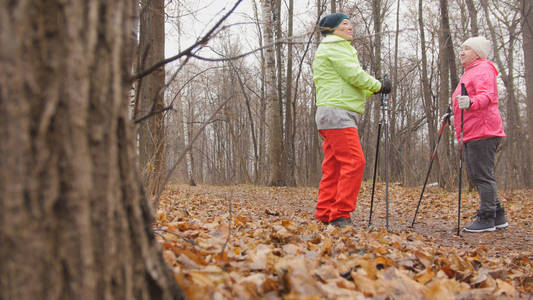秋季公园里的老妇人做热身前北欧走在黄叶之间