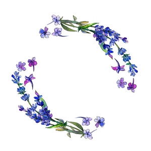 紫罗兰色薰衣草花卉植物花。框边框装饰广场。背景质地包装图案框架或边框的水彩画野花