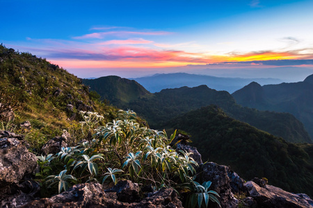 在 Doi 銮清道，高山在中国的日落景观