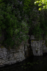 美丽的 Fjadrargljufur 峡谷与河流和大岩石。巴克峡谷快河