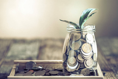一个不同的硬币和绿色增长从上面的罐子, 站在一个木制背景, 增长和省钱的概念