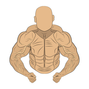 充气人体肌肉人矢量图画插图