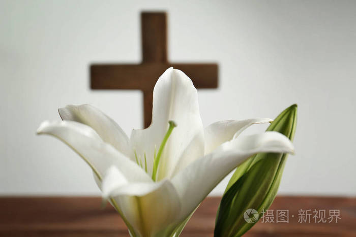 白色的百合和模糊木制的十字架上背景