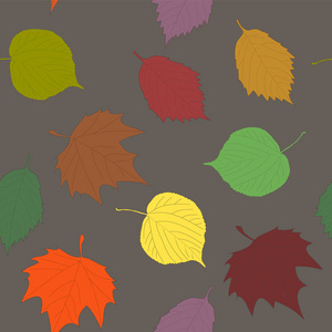 各种秋叶无缝图案椴桤木和枫叶插图季节背景