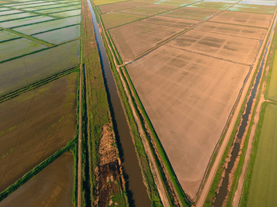稻田里充斥着水。被淹的稻田。水稻田间栽培的农艺方法。把稻田里的水淹没在田里。从上面查看