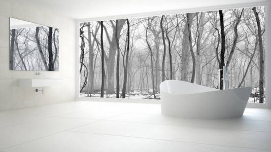 极简主义白色和灰色浴室大全景窗口，无线