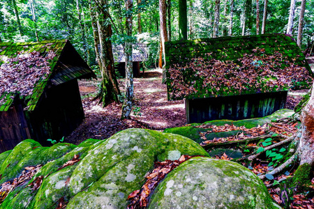 泰国富欣荣科国家公园平房屋顶苔藓