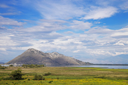 美丽的风景，在黑山斯卡达尔湖国家公园