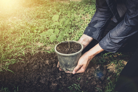 年轻人在花园里植树作为地球日, 拯救世界概念自然环境和生态