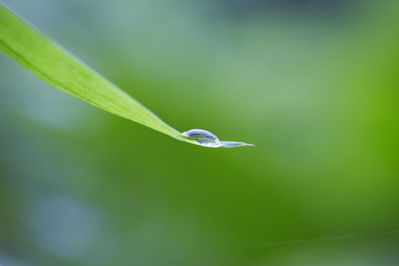 绿草地上水露滴眼液