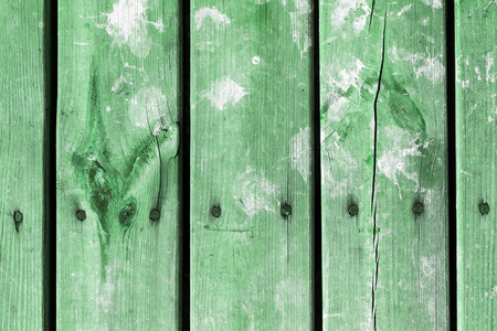 旧的绿色木材纹理的自然形态
