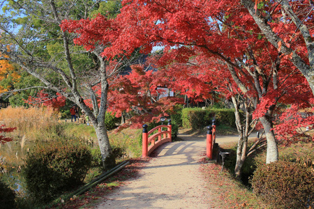 Daikaku吉，日本京都秋天的季节