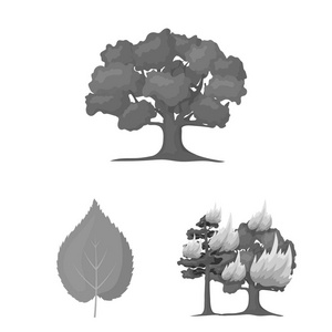 森林和自然单色图标集合中的设计。森林生命矢量符号股票网页插图
