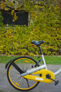 黄色租自行车反对 h 绿色叶子
