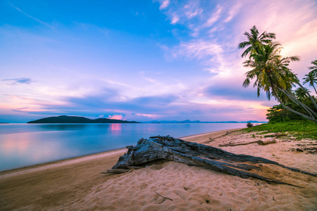 美丽的热带海滩和海与椰子棕榈树在日出时间长期曝光射击