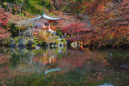 美丽的日本花园