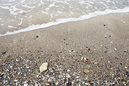海浪沙子 石子和贝壳
