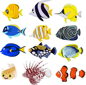卡通热带鱼收藏集