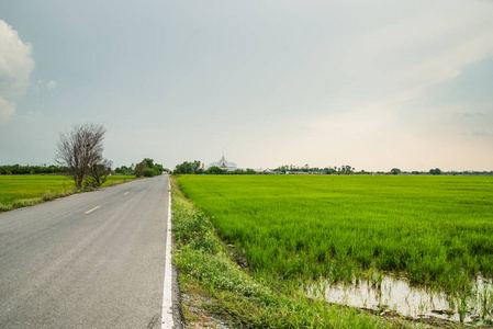 景观稻田背景扫管笏与泰国在北柳省在泰国