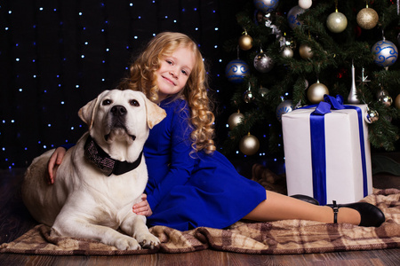 女孩和狗在家里，圣诞节概念连在一起