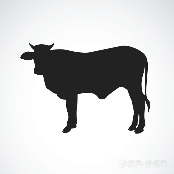 矢量图像的白色背景上的牛剪影