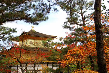 金阁寺 金阁 在京都，日本