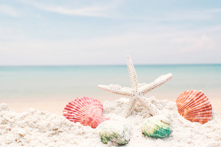 沙滩上的贝壳群, 夏日的放松和假期