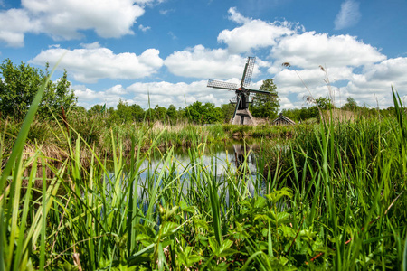 典型的荷兰 spinnekop 磨房在国家风景 weerribben 和威登在 Giethoorn 和 Kalenberg 附近