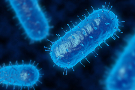 显微镜下的细菌细菌的 3d 渲染